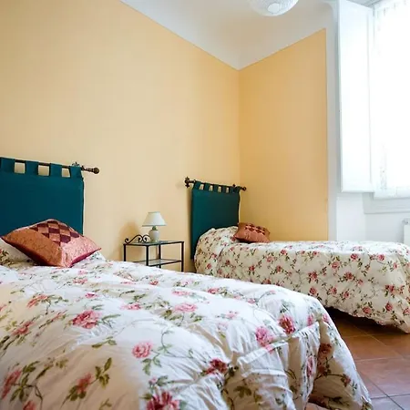 Apartament San